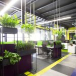 Transforming Spaces: A Comprehensive Guide to Singapore Office Renovation