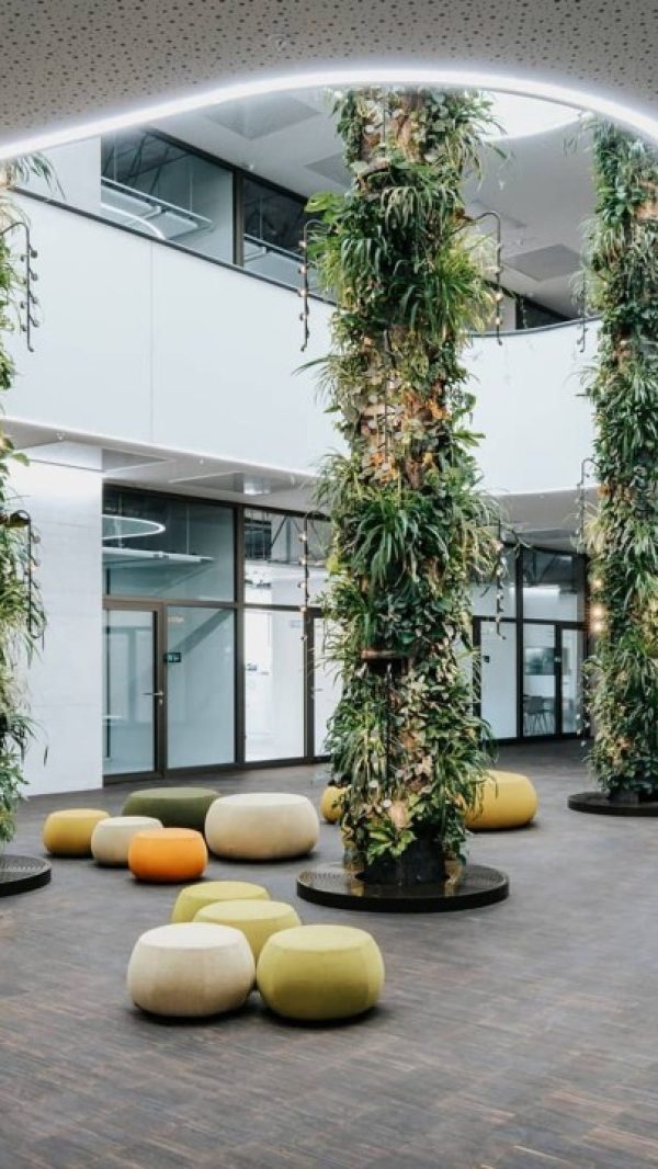 Sustainable Entrepreneurs