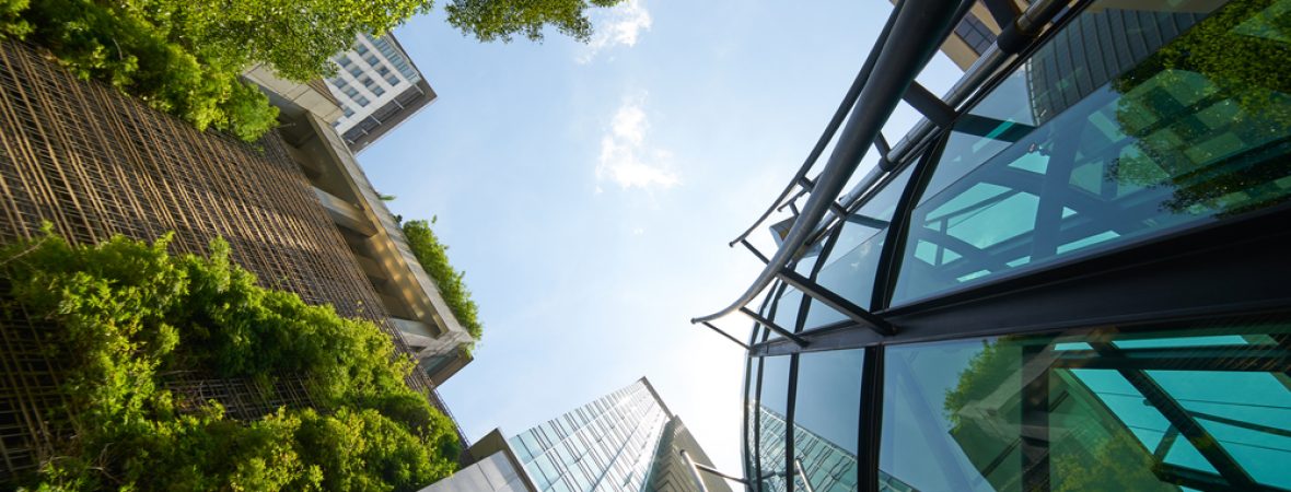 shutterstock_613341923